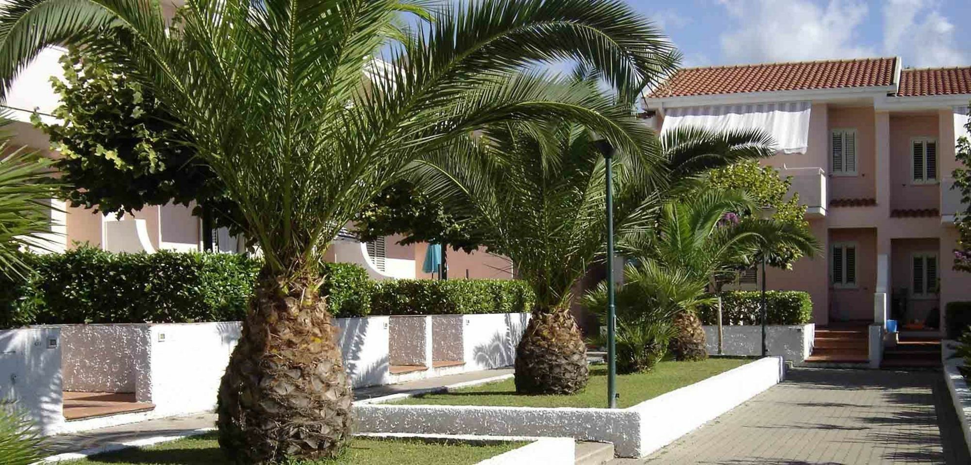 Residence Le Magnolie Praia a Mare Exterior photo